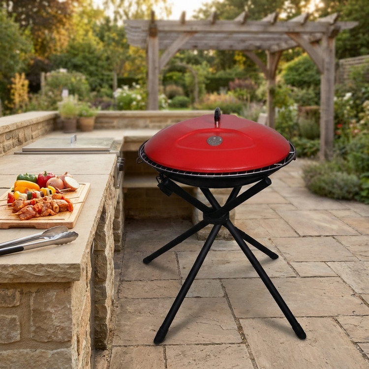 باربیکیو پارمیس مدل BBQ 412