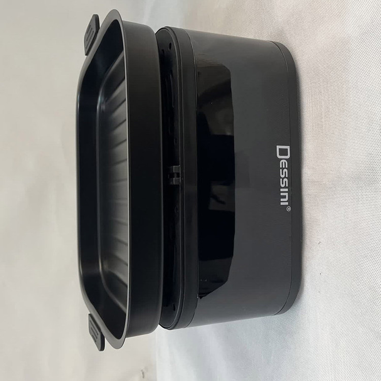 سرخکن 12.5 لیتر دسینی مدل ds810